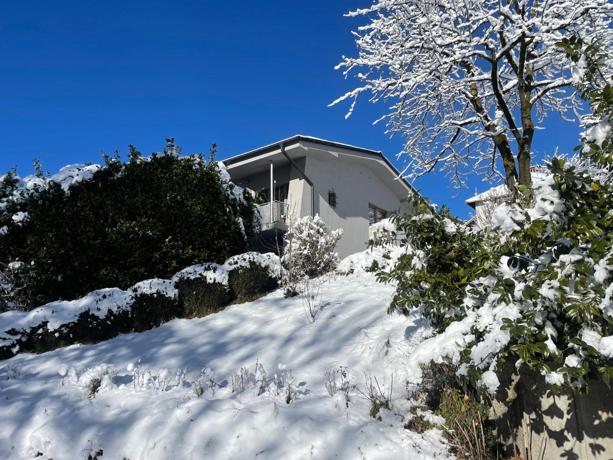 Katarina Apartment Bled Bagian luar foto