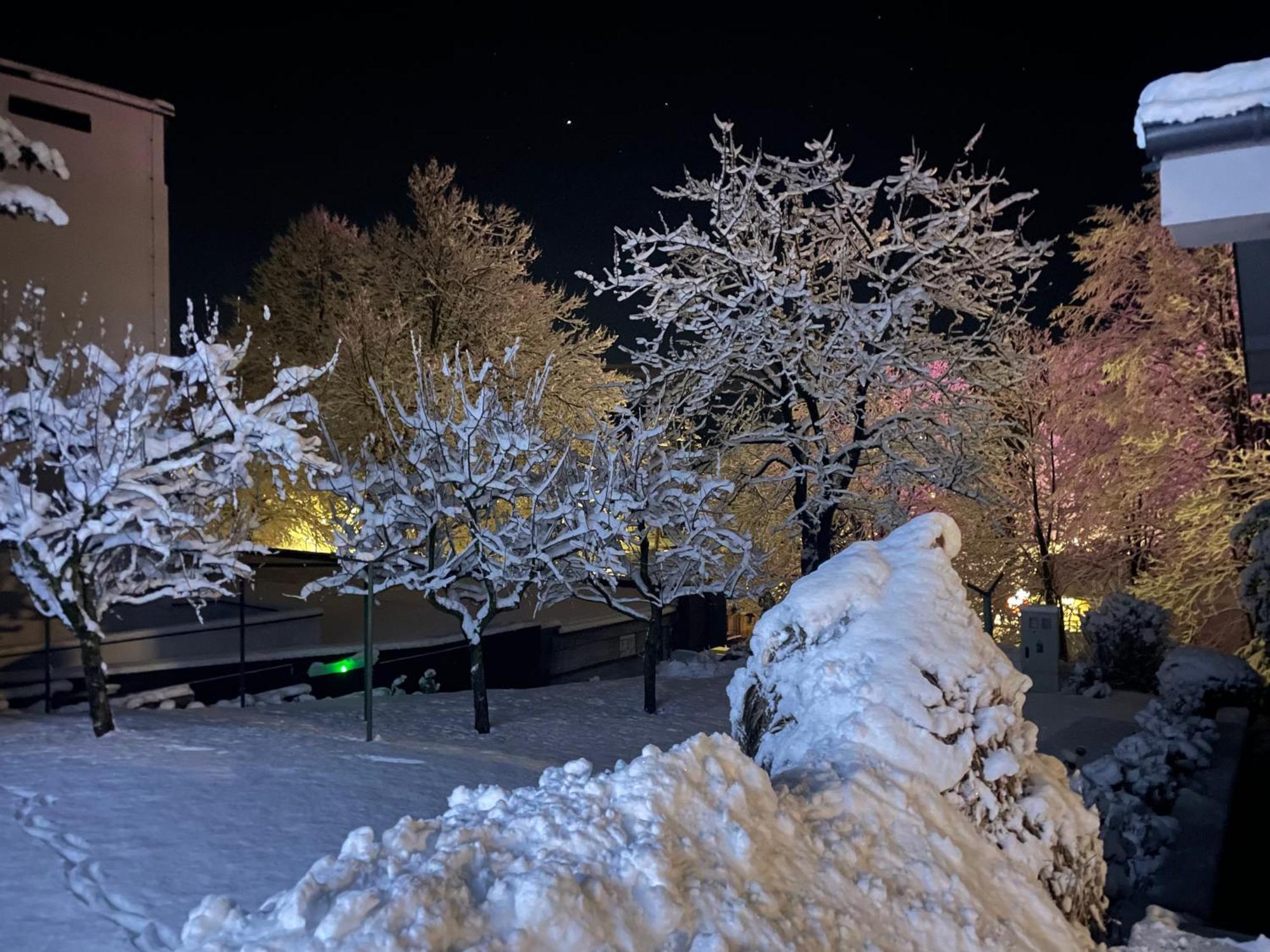 Katarina Apartment Bled Bagian luar foto