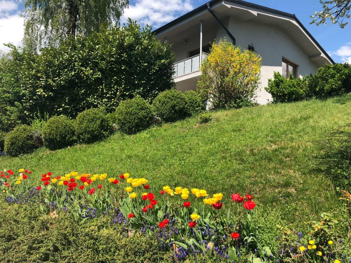 Katarina Apartment Bled Bagian luar foto